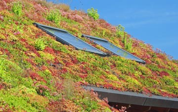 Shewalton living roof systems